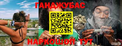 PSILOCYBIN Кулебаки